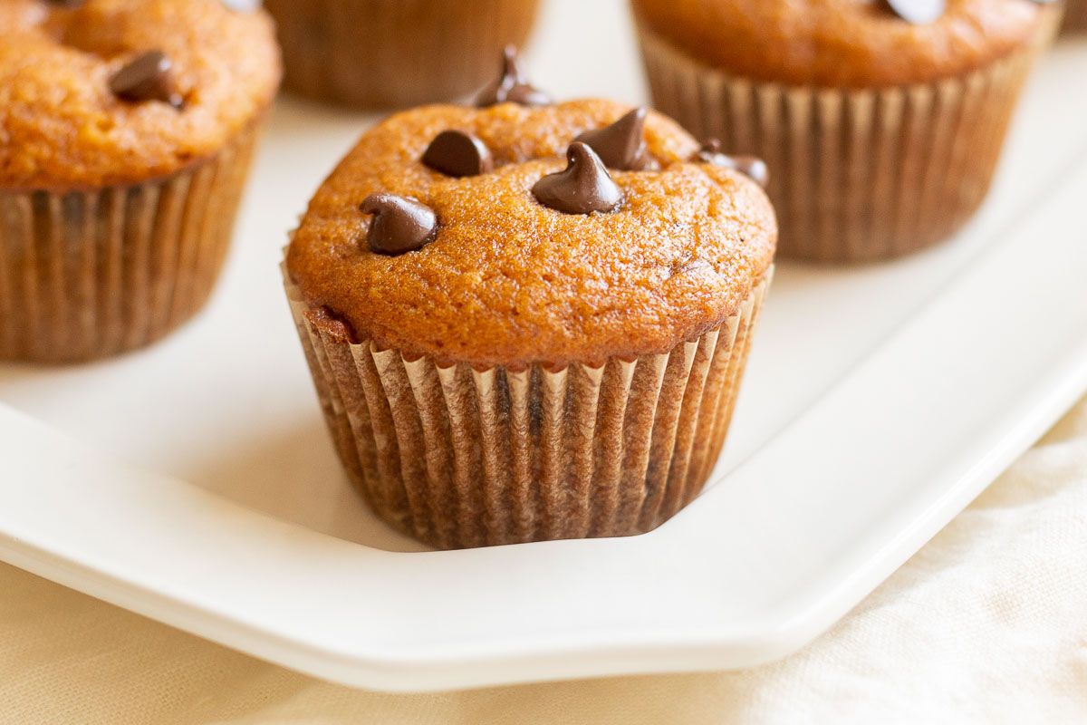 A pumpkin chocolate chip muffin on a white plate.