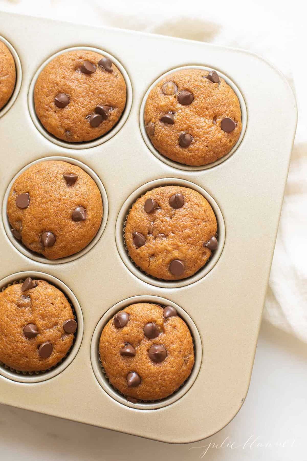 pumpkin chocolate chip muffins in a muffin tin