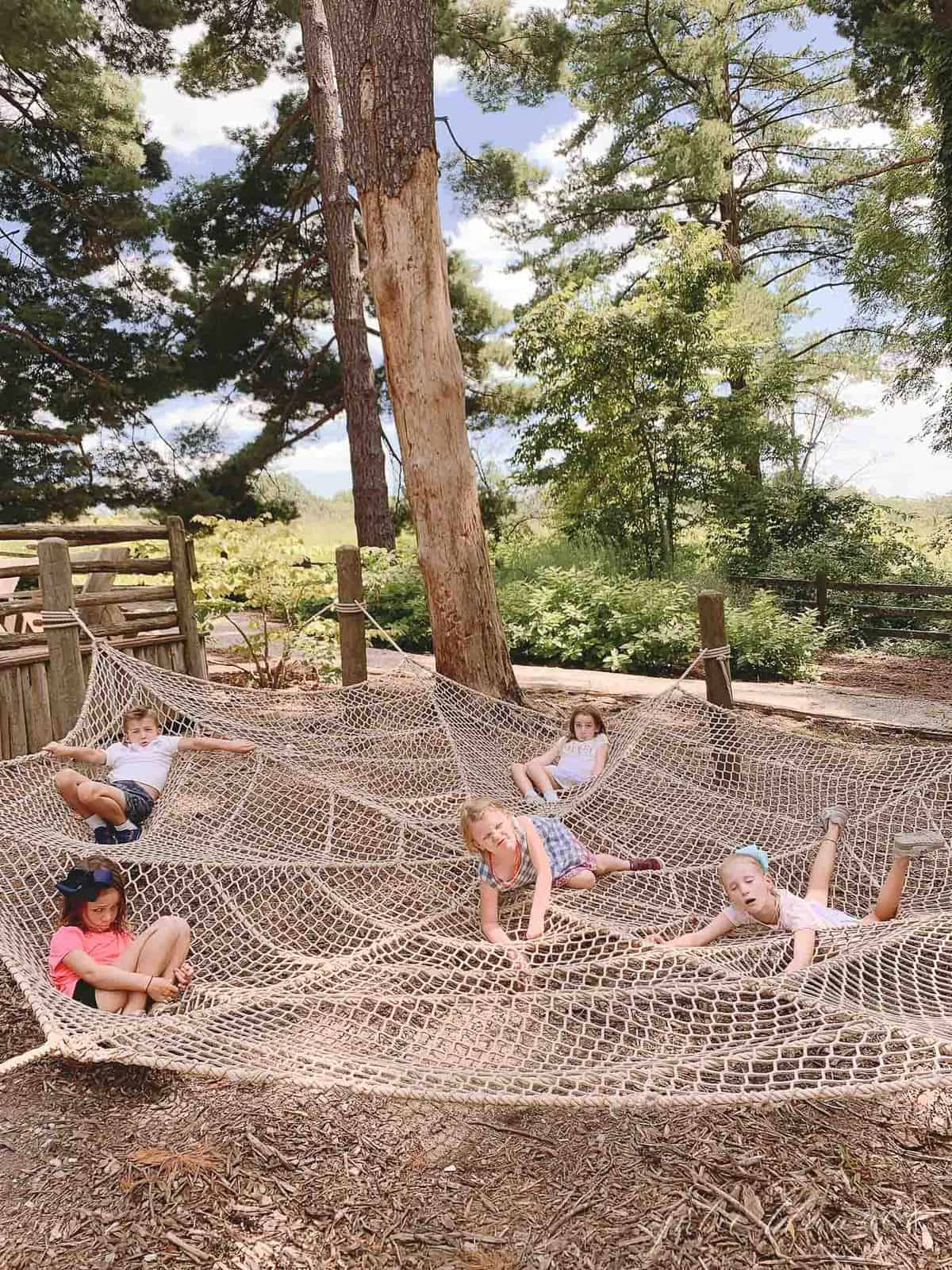 Giant play spider web for kids in St. Louis