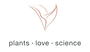 Laurel Skin Care Review