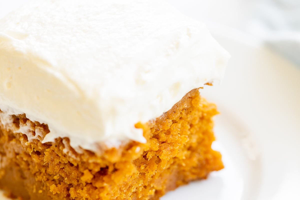 A slice of pumpkin cake.