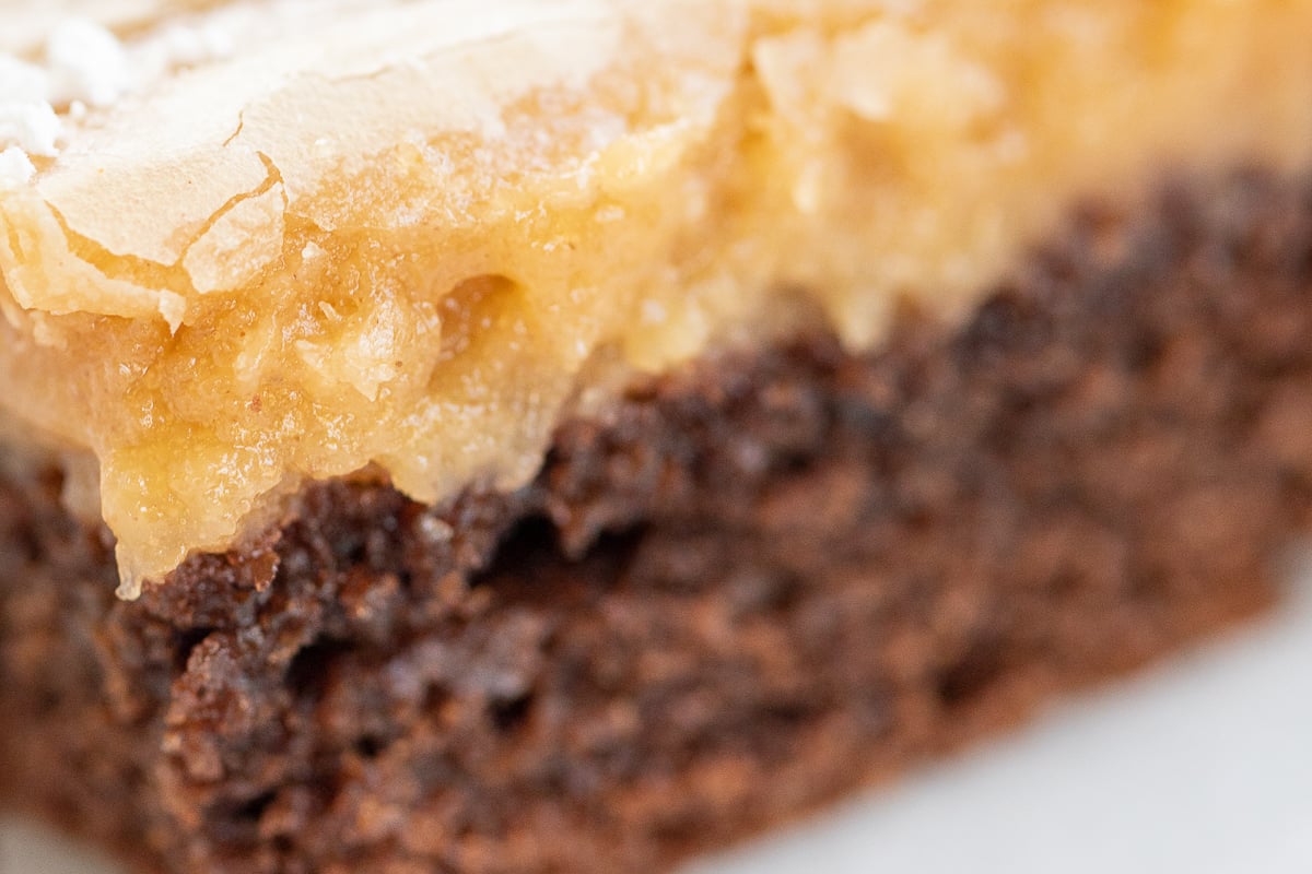 A slice of peanut butter ooey gooey butter cake.