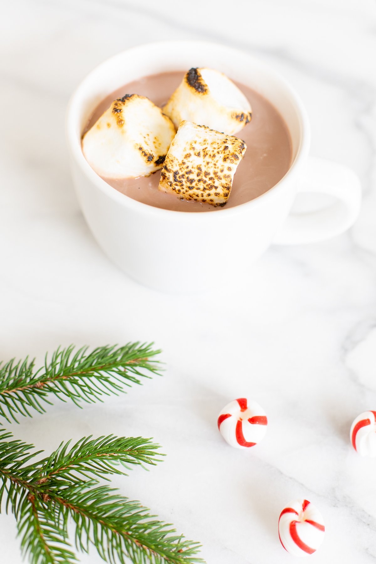 A white mug full of spiked hot chocolate, topped with toasted marshmallows.