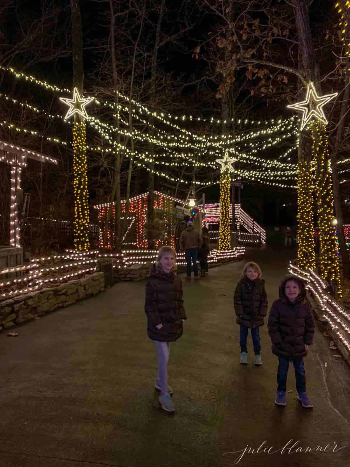 christmas lights draping over walkway