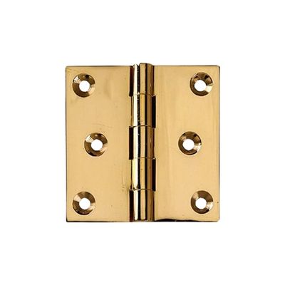 An unlacquered brass cabinet hinge on a white background.