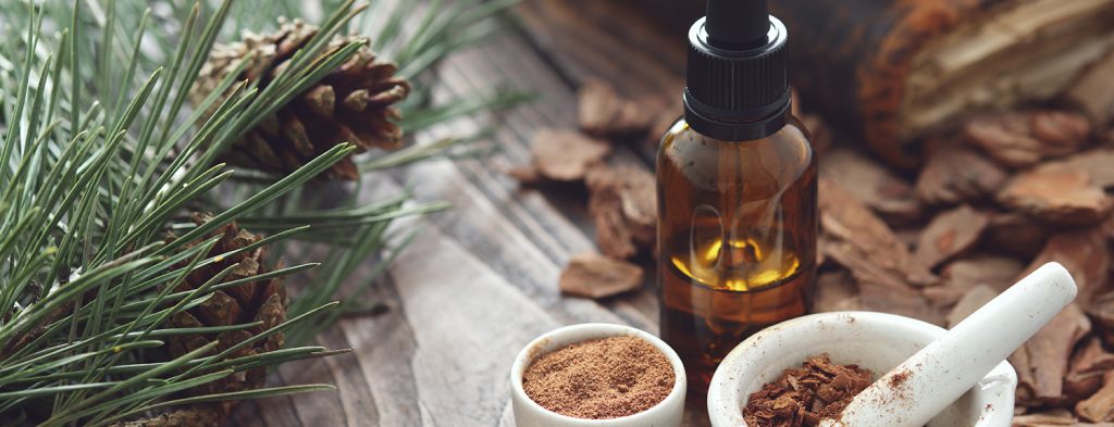 Bark extracts for skin