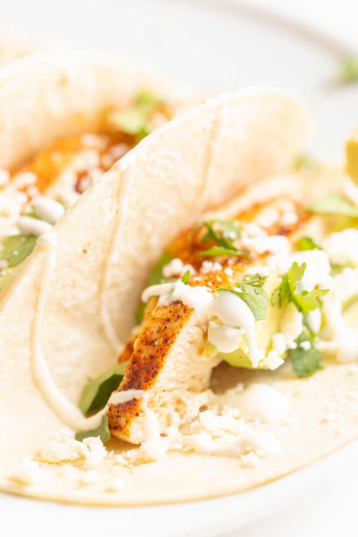 Chicken tacos in corn tortillas on a white surface.