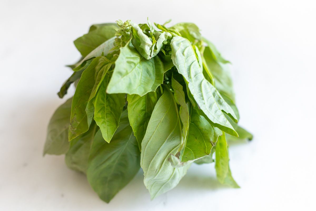 Fresh pesto leaves in a small jar on a white countertop
