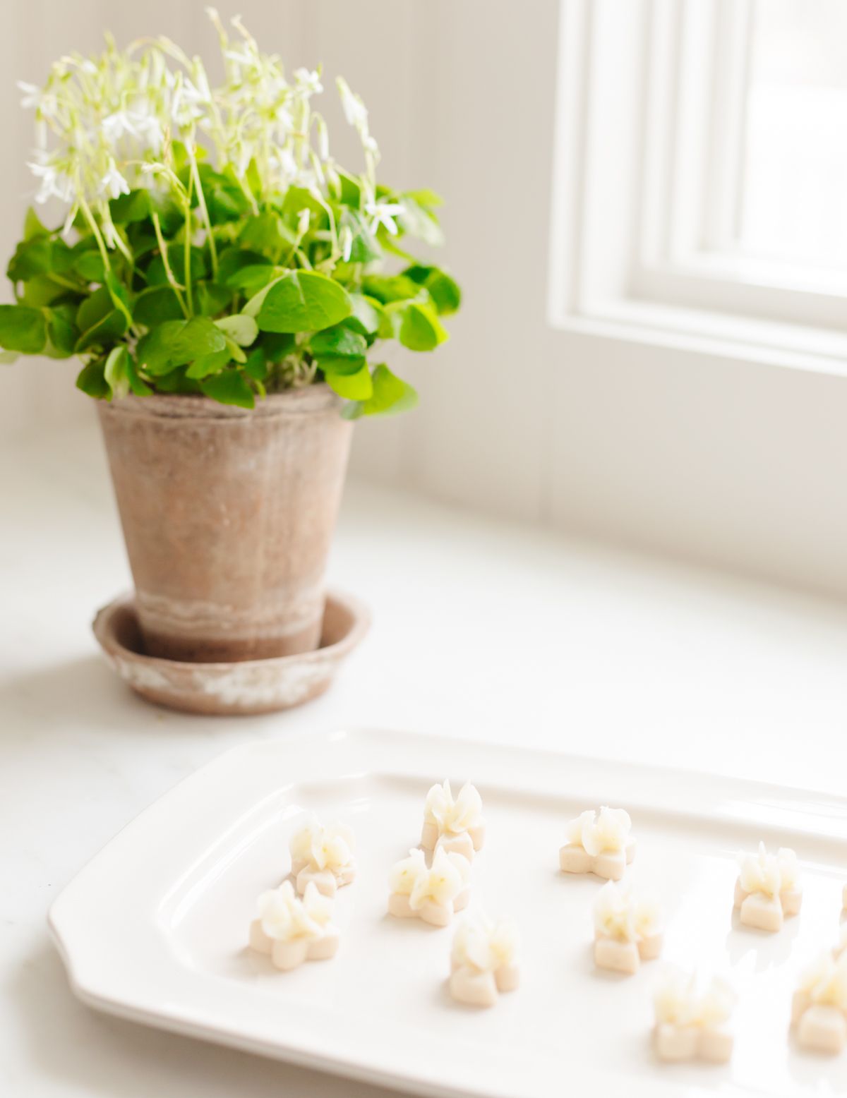 A white platter full of frosted lime cookies.
