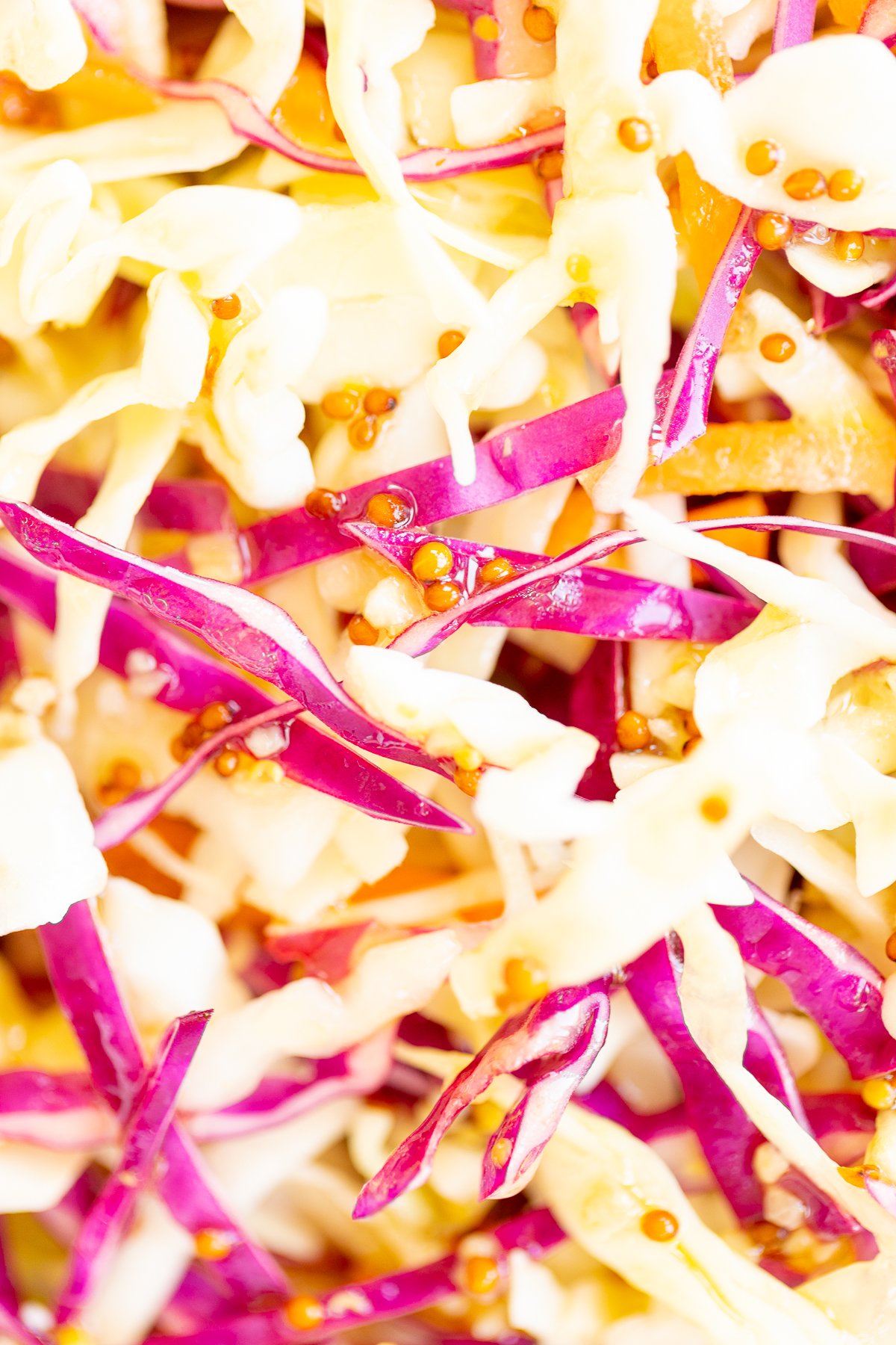 A close up of colorful cabbage salad.