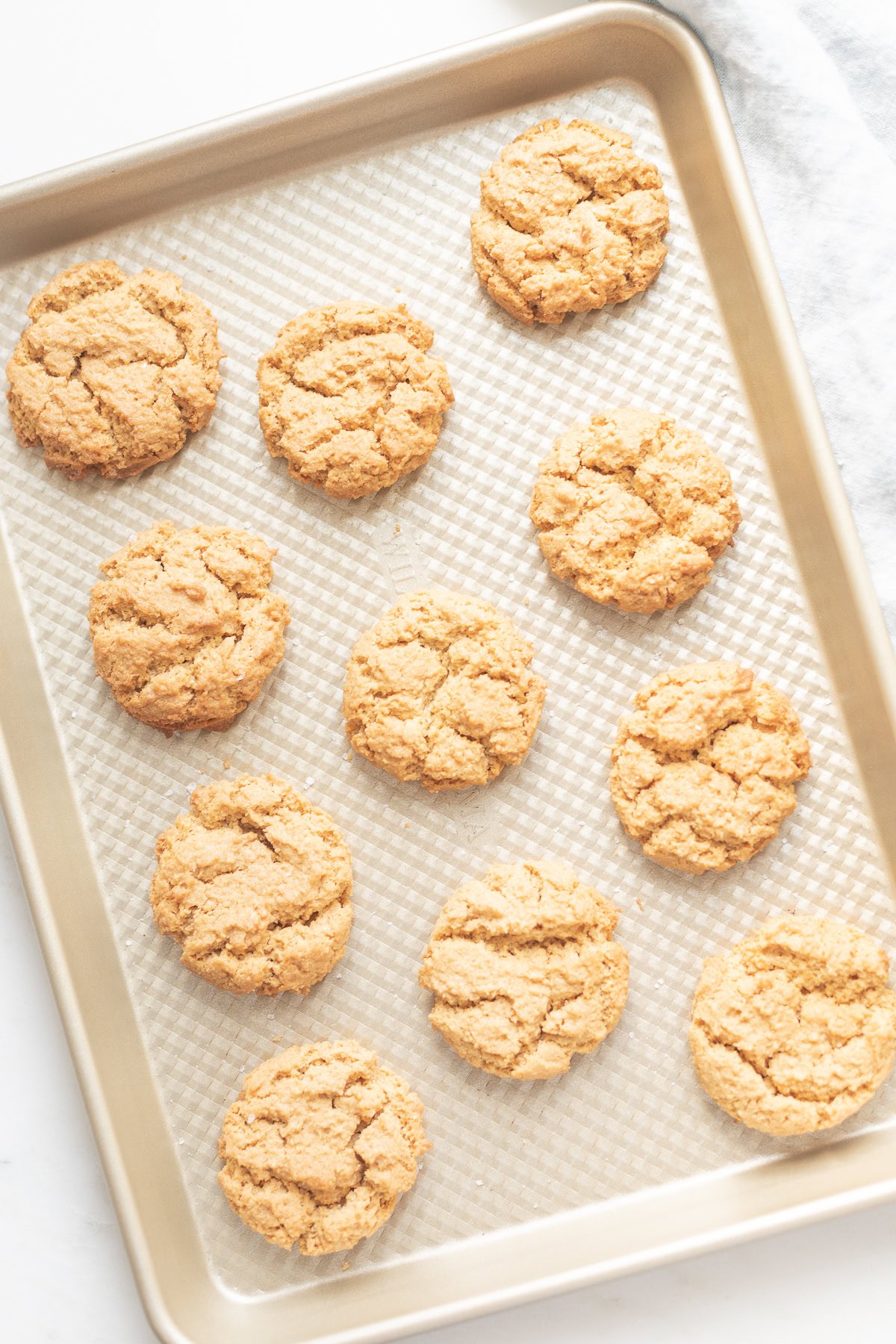 Ten golden, flourless peanut butter cookies rest on a baking tray with a textured surface, positioned in neat rows.