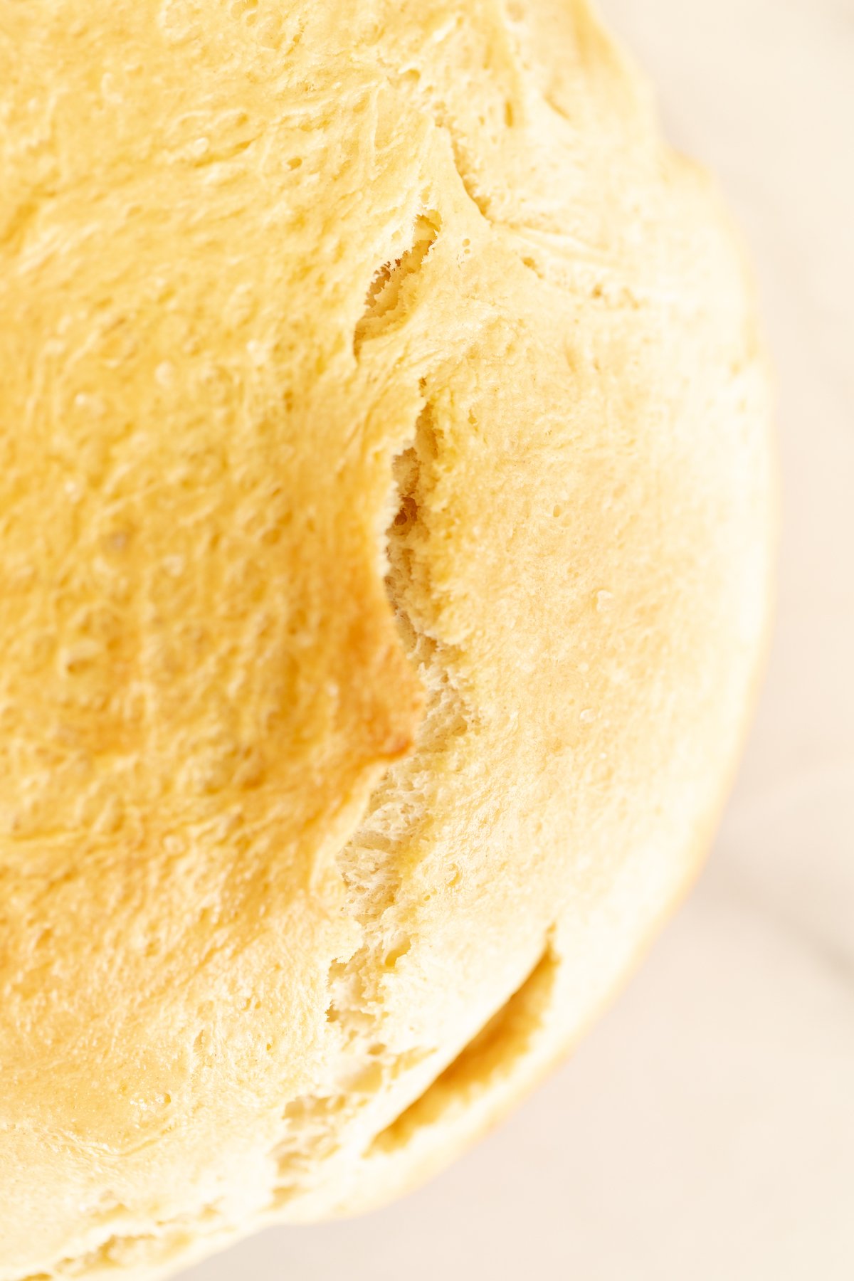 A close up image of homemade bread made in a Dutch oven.