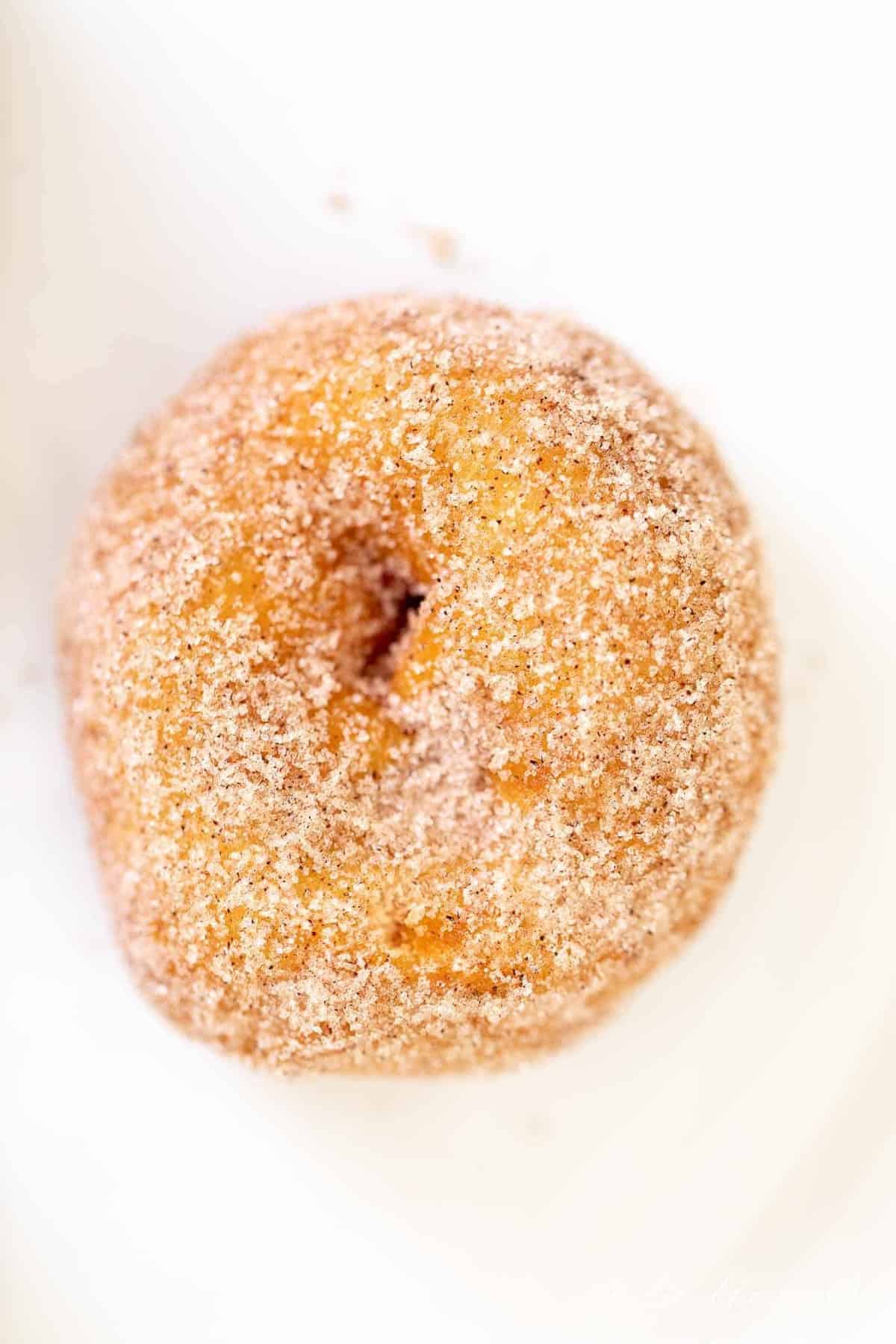 A white plate with a biscuit donut covered in cinnamon sugar.