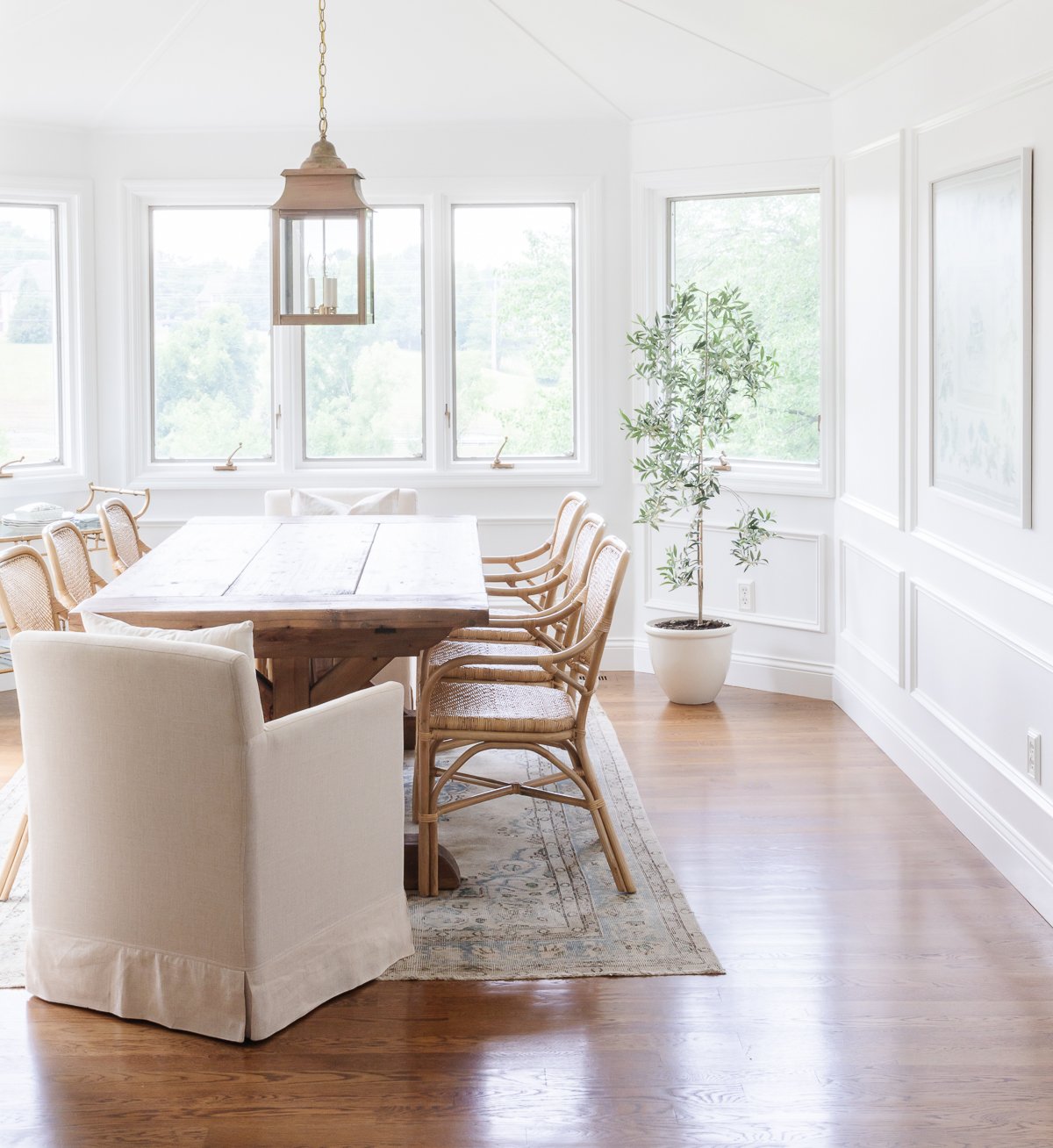 A bright dining room with low maintenance indoor plants, featuring a wooden table, wicker chairs, and a classic pendant light.