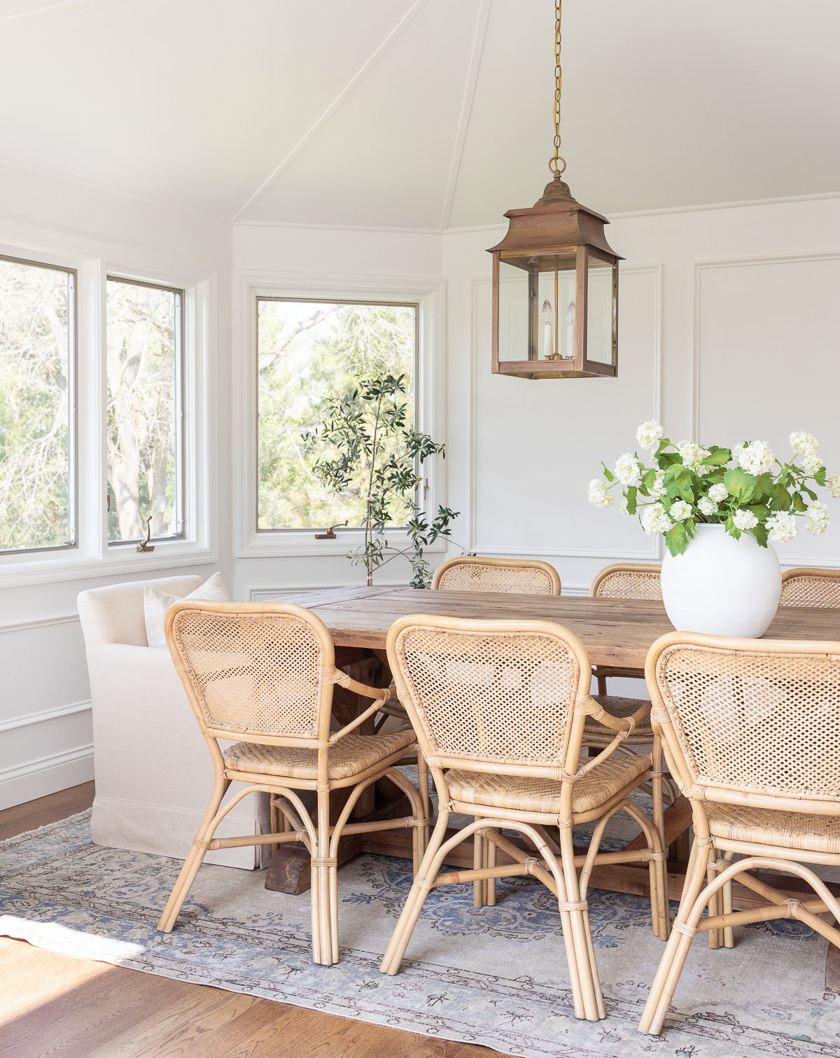 A bright dining room with low maintenance indoor plants, featuring a wooden table, wicker chairs, and a classic pendant light.