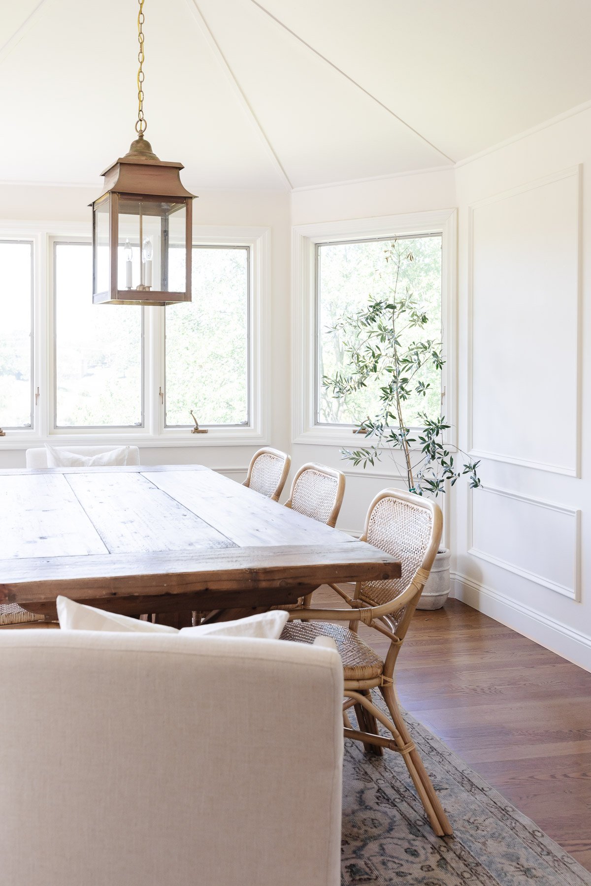 A bright dining room with low maintenance indoor plants, featuring a wooden table, wicker chairs, and a classic pendant light.