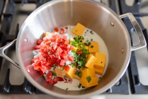 A pot on a stove brimming with chopped tomatoes, Velveeta cheese cubes, diced onions, jalapeños, cilantro, and cream creates the perfect cheese dip temptation.