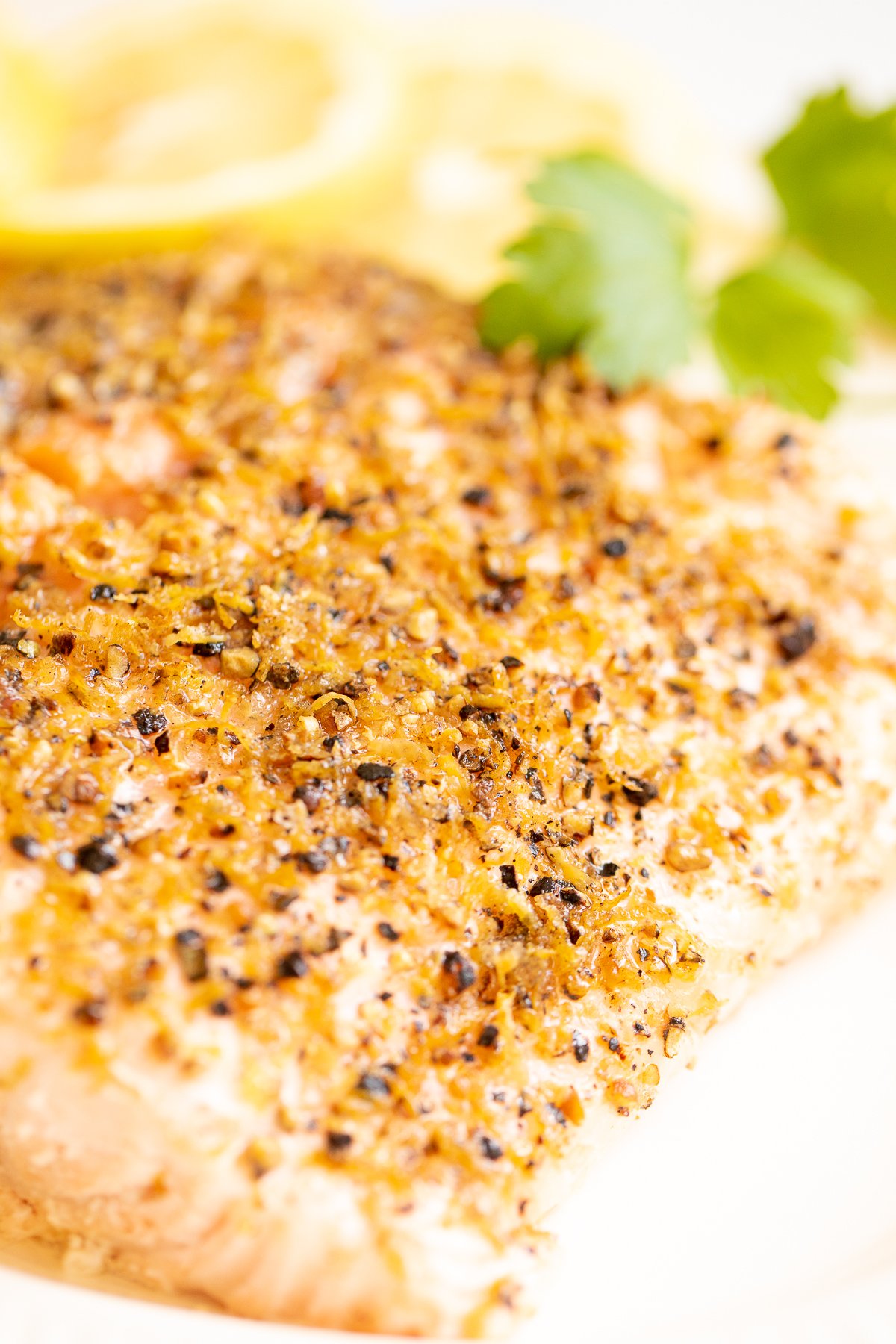 Lemon pepper salmon on a white platter.