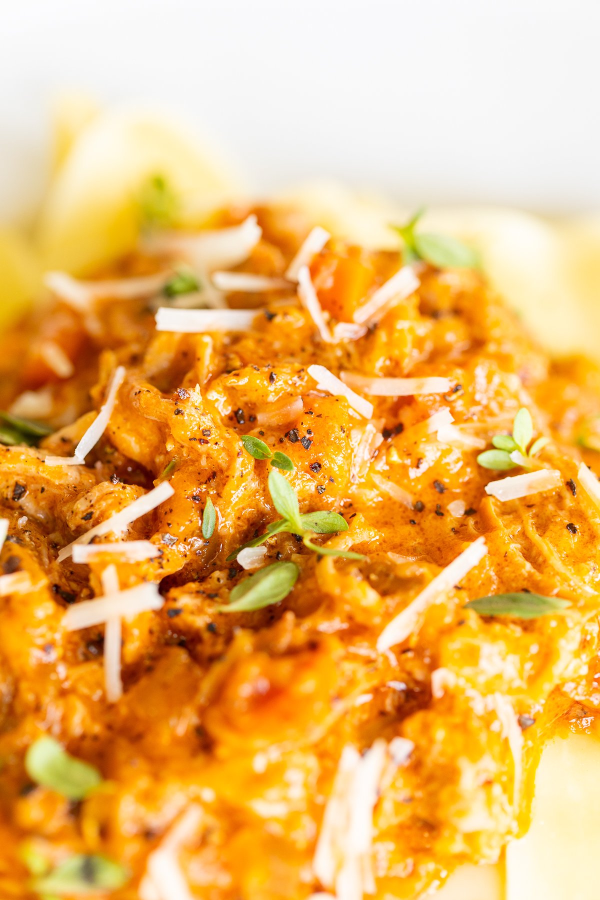 A white plate with a serving of braised pork ragu with pappardelle