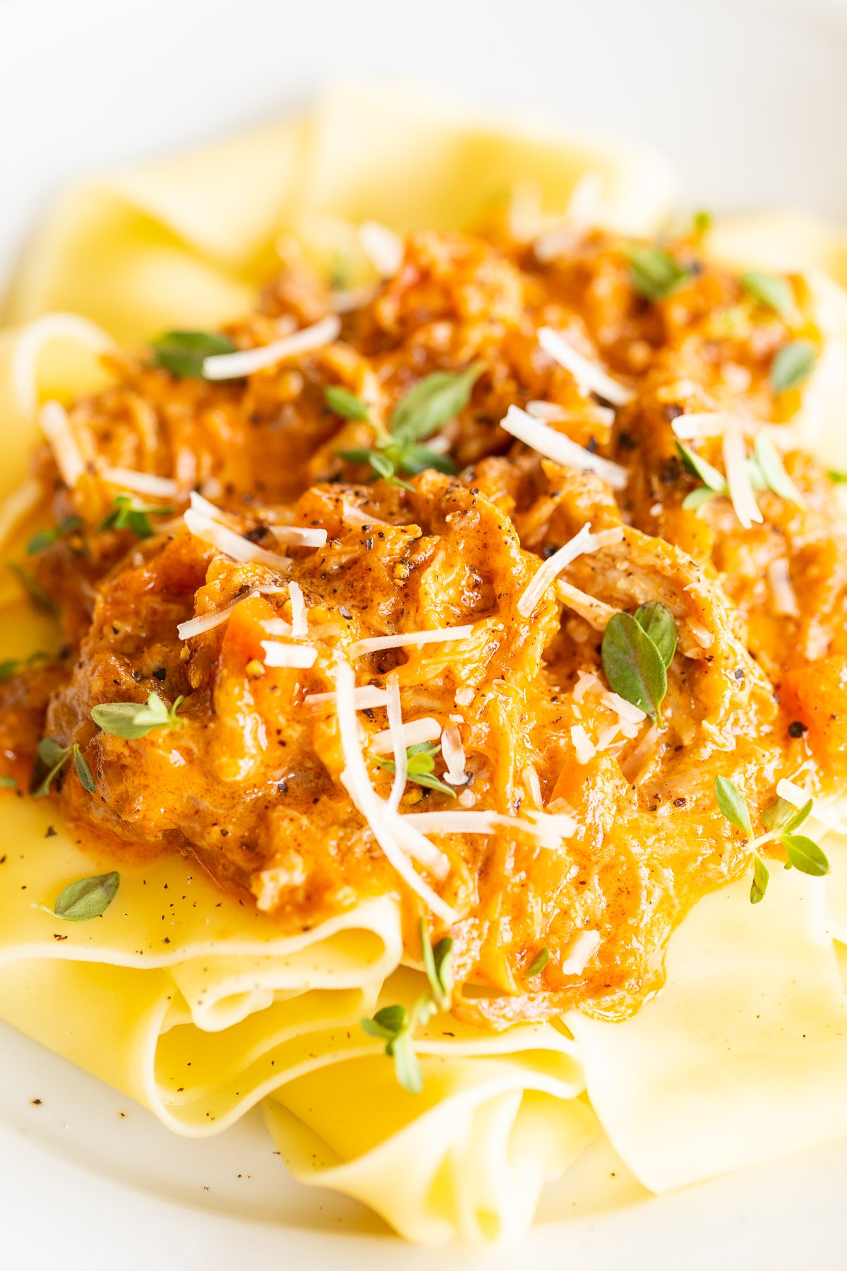 A white plate with a serving of braised pork ragu with pappardelle