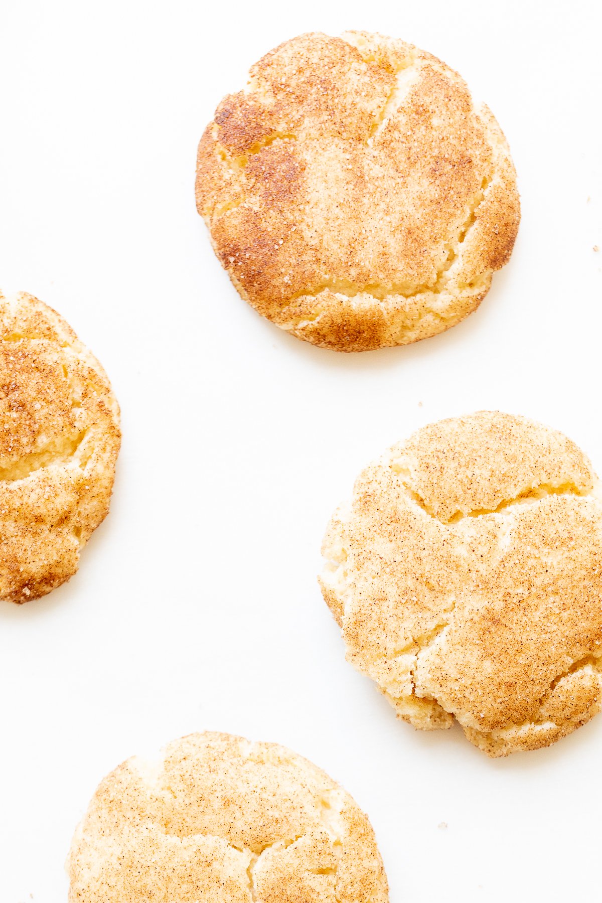 snickerdoodle cookies on a white countertop.