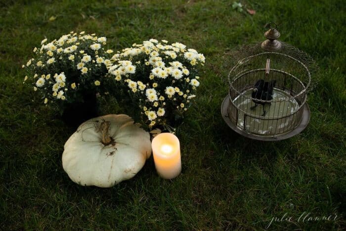 Mums, heirloom candles and a witch's broom set up for Halloween decorations on the grass.