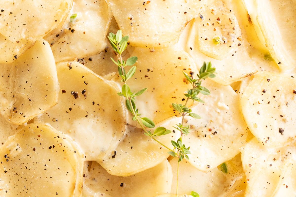 Close up of gratin dauphinoise potatoes garnished with fresh thyme