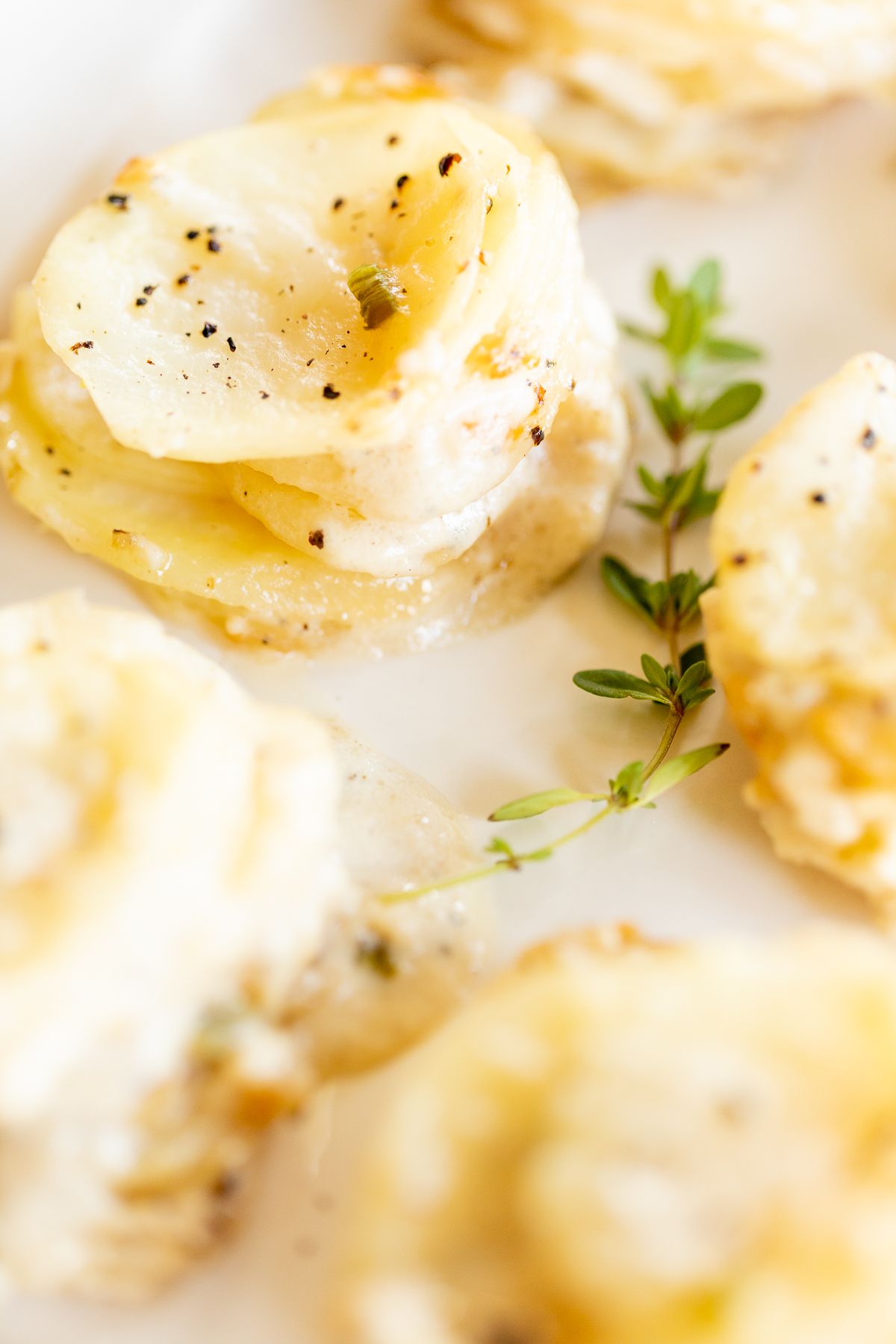 A white platter featuring potato gratin stacks, garnished with fresh thyme.