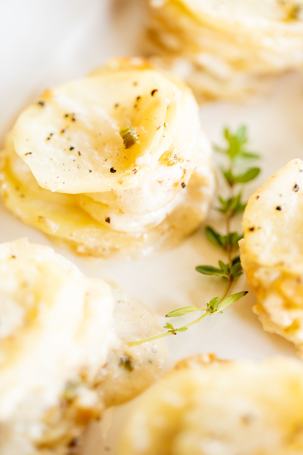 A white platter featuring potato gratin stacks, garnished with fresh thyme.