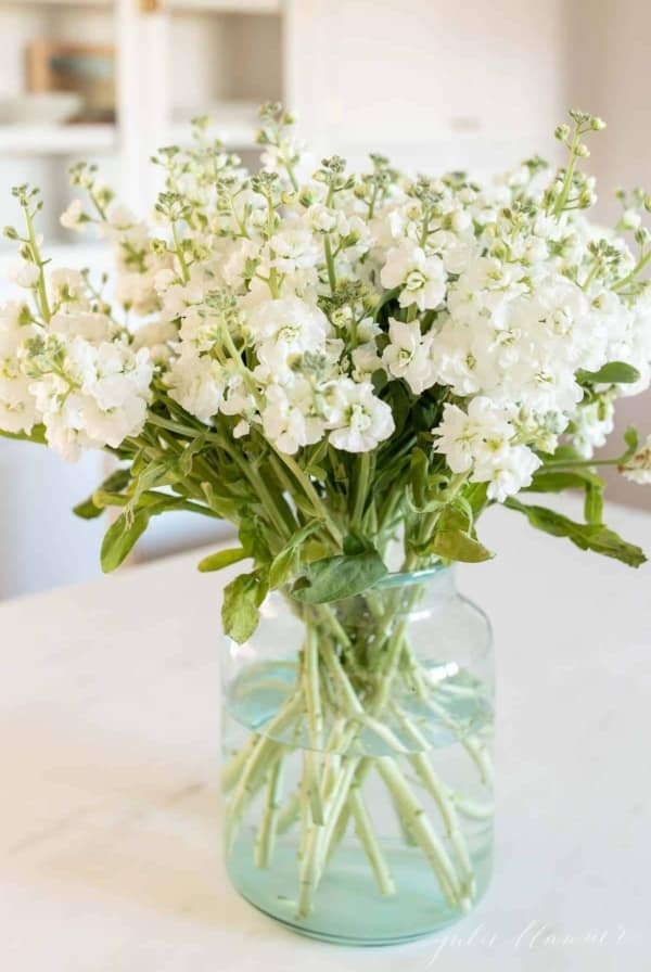 A white stock flower arrangement in a clear glass vase on a marble surface.