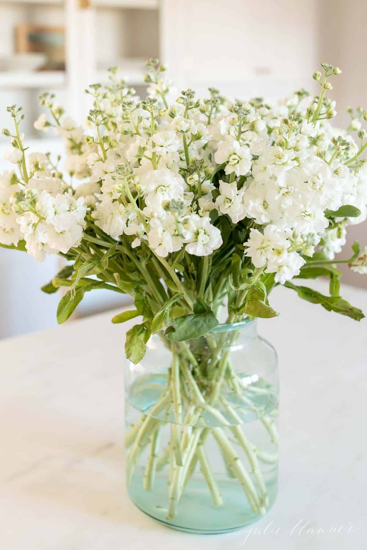 A white stock flower arrangement in a clear glass vase on a marble surface.