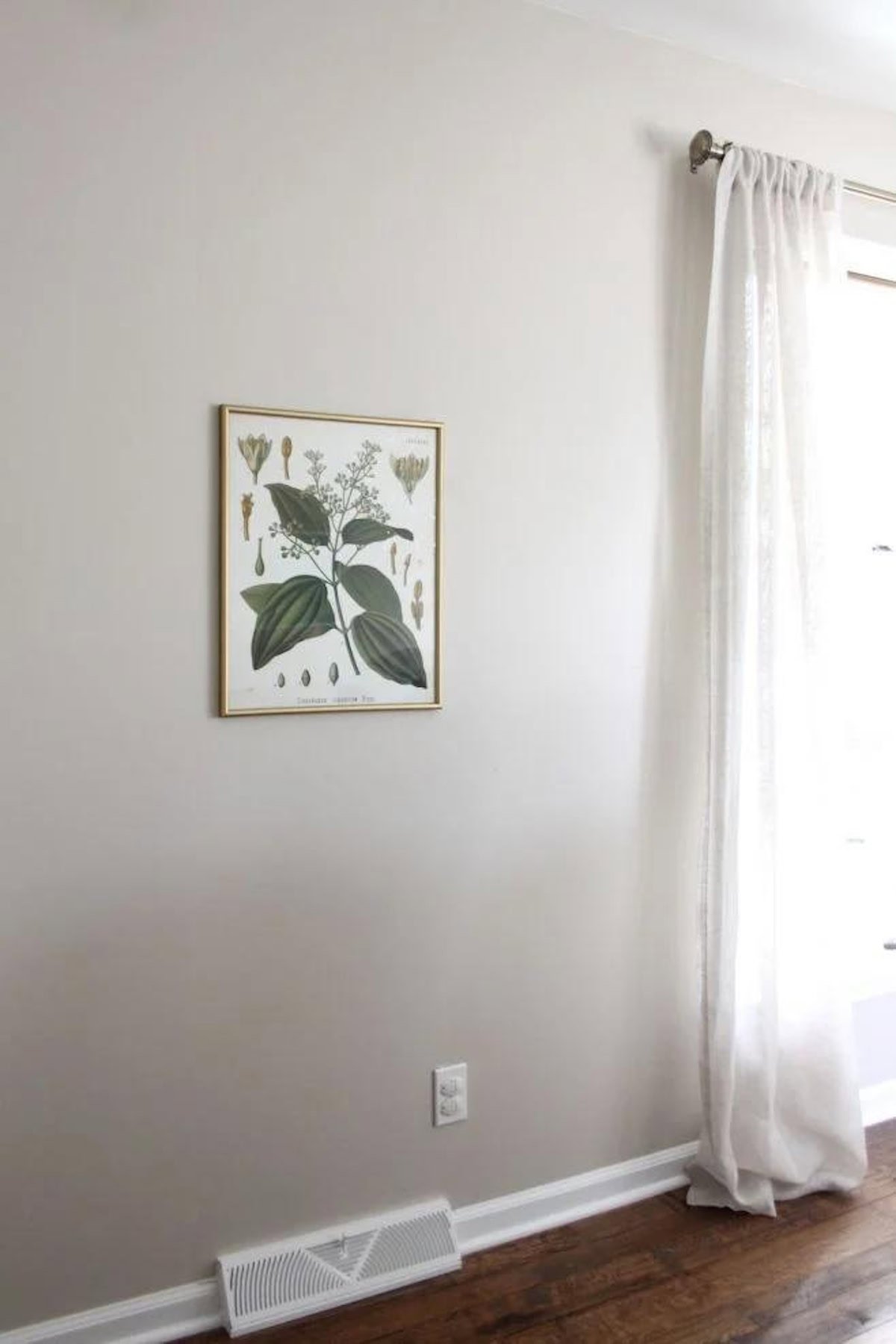 A botanical illustration is framed and hung on a light-colored wall next to a window with white curtains. The wall, painted in Sherwin-Williams Accessible Beige, complements the vent cover and electrical outlet near the baseboard beautifully.