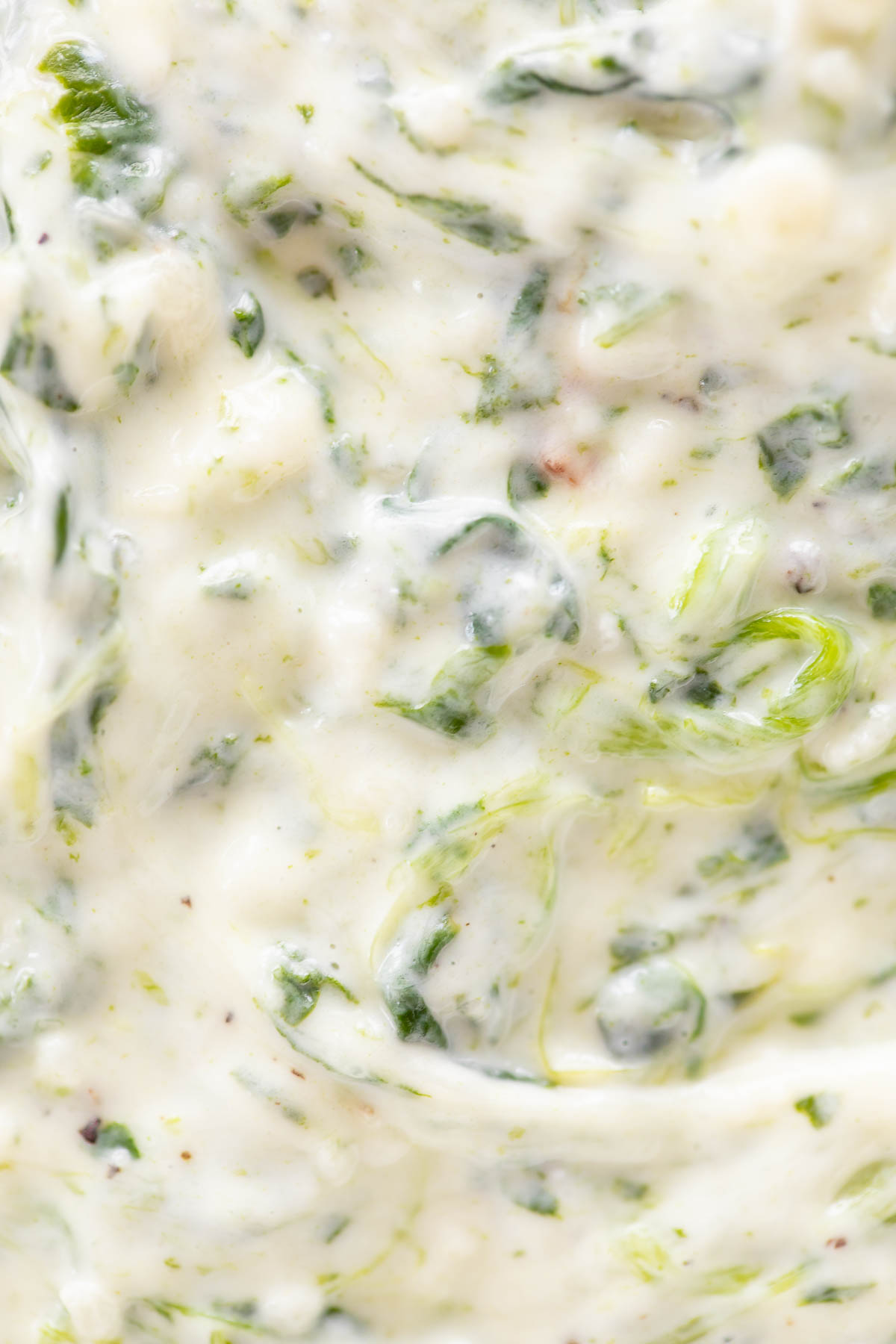 A close up of a bowl of spinach dip with cream cheese.