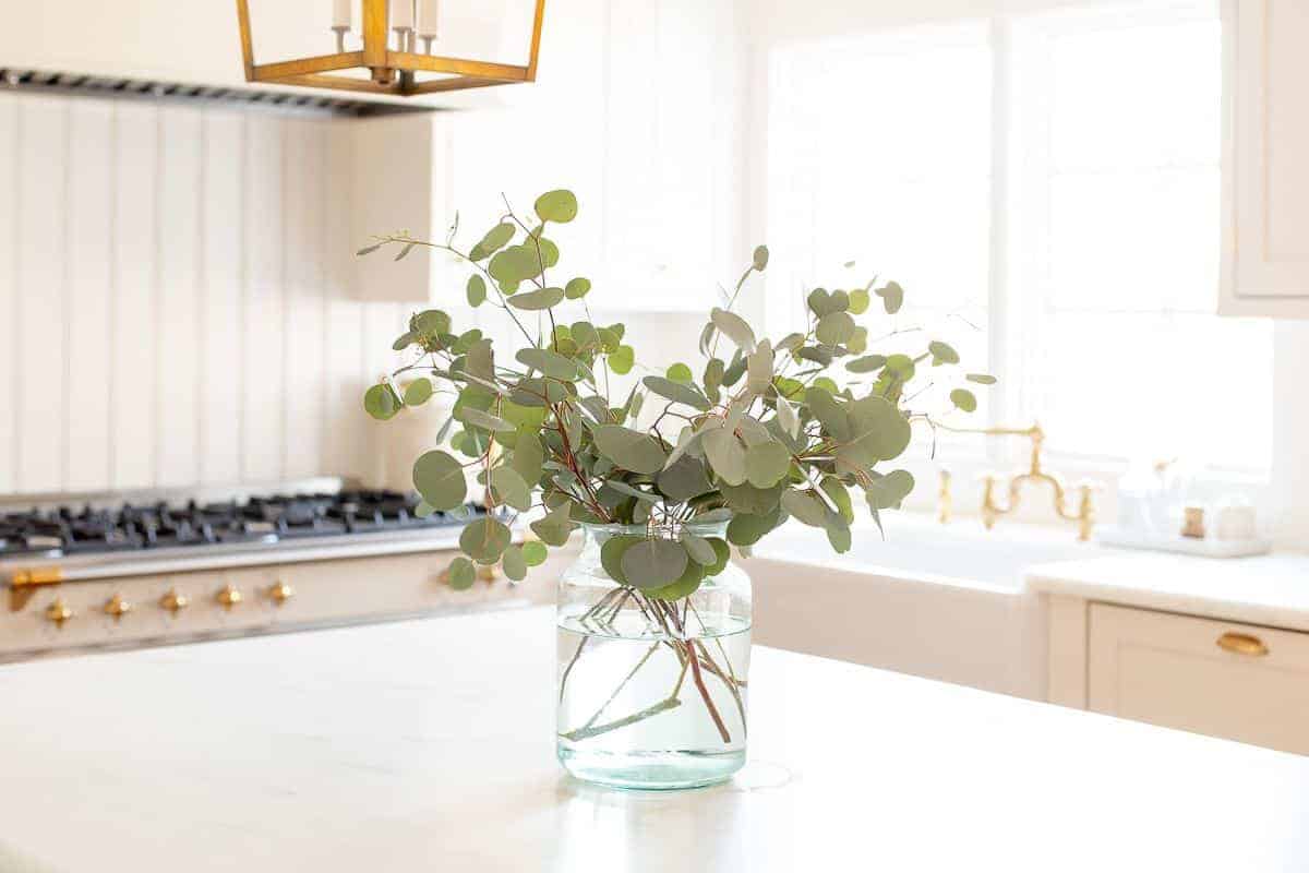 A clear glass vase on the island of a white kitchen, filled with silver dollar eucalyptus.