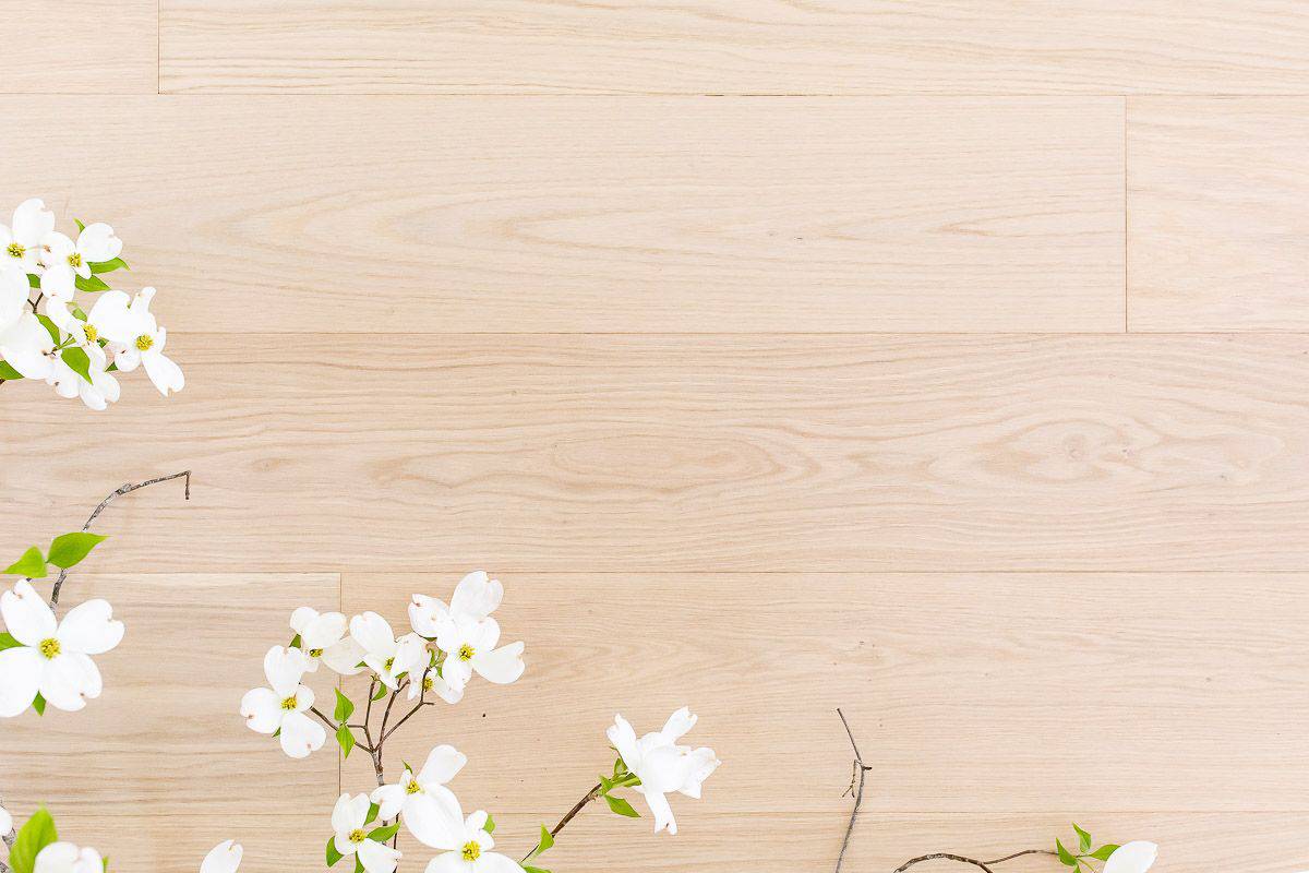 White oak floors with a branch of white blooming dogwood laying across.