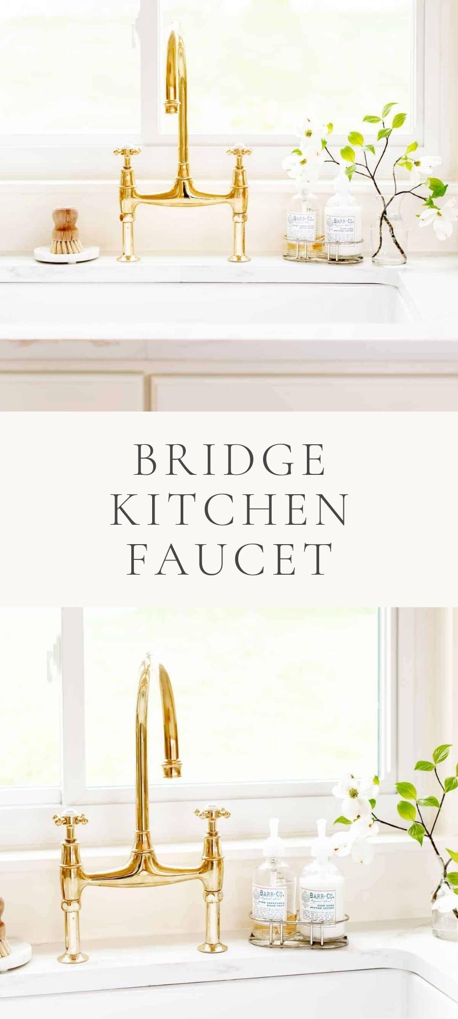 bridge kitchen faucet with plant and soap