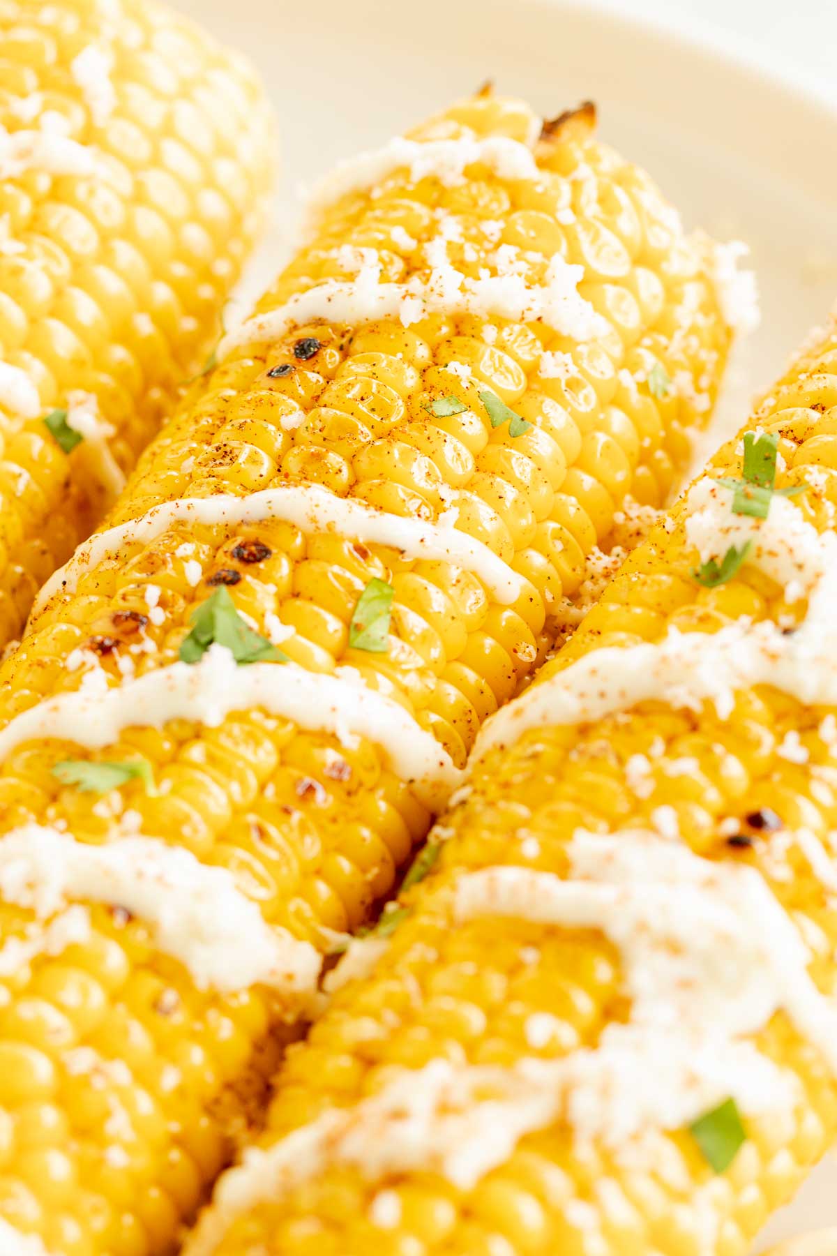 Elote (Mexican corn on the cob) drizzled with crema on a white plate.