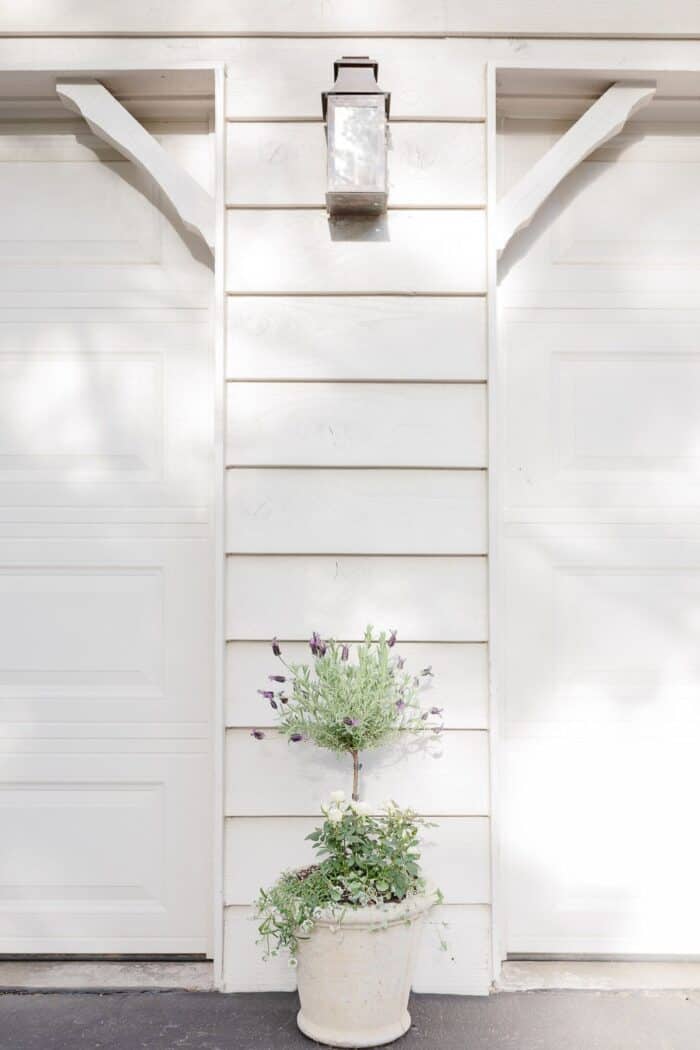 A blooming lavender topiary in front of garage doors.