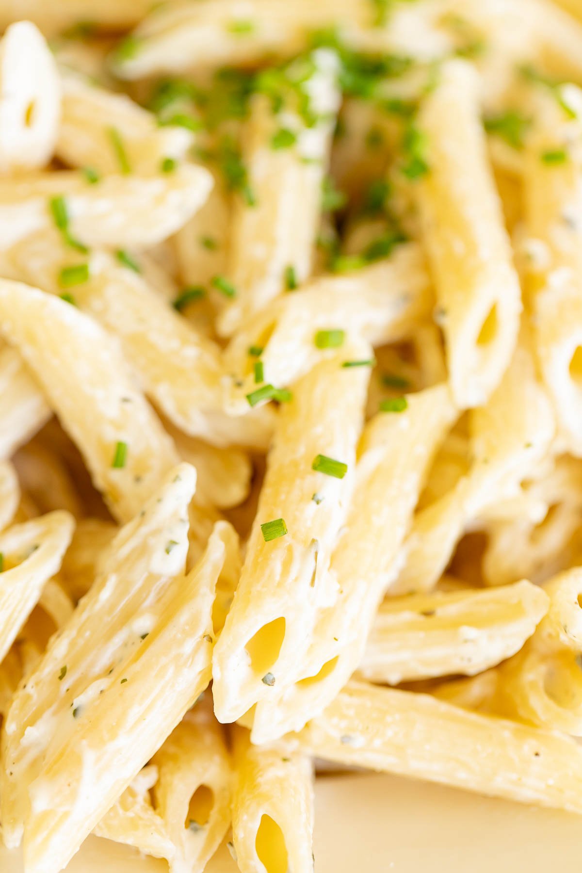 Close up of Boursin cheese pasta with penne.