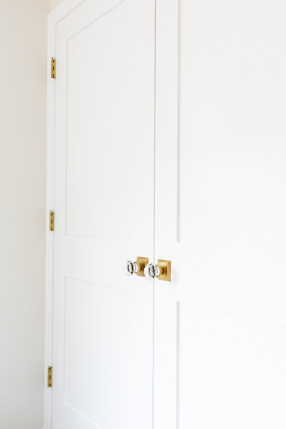 A closed white door, painted to perfection with brass handles, for an elegant interior.