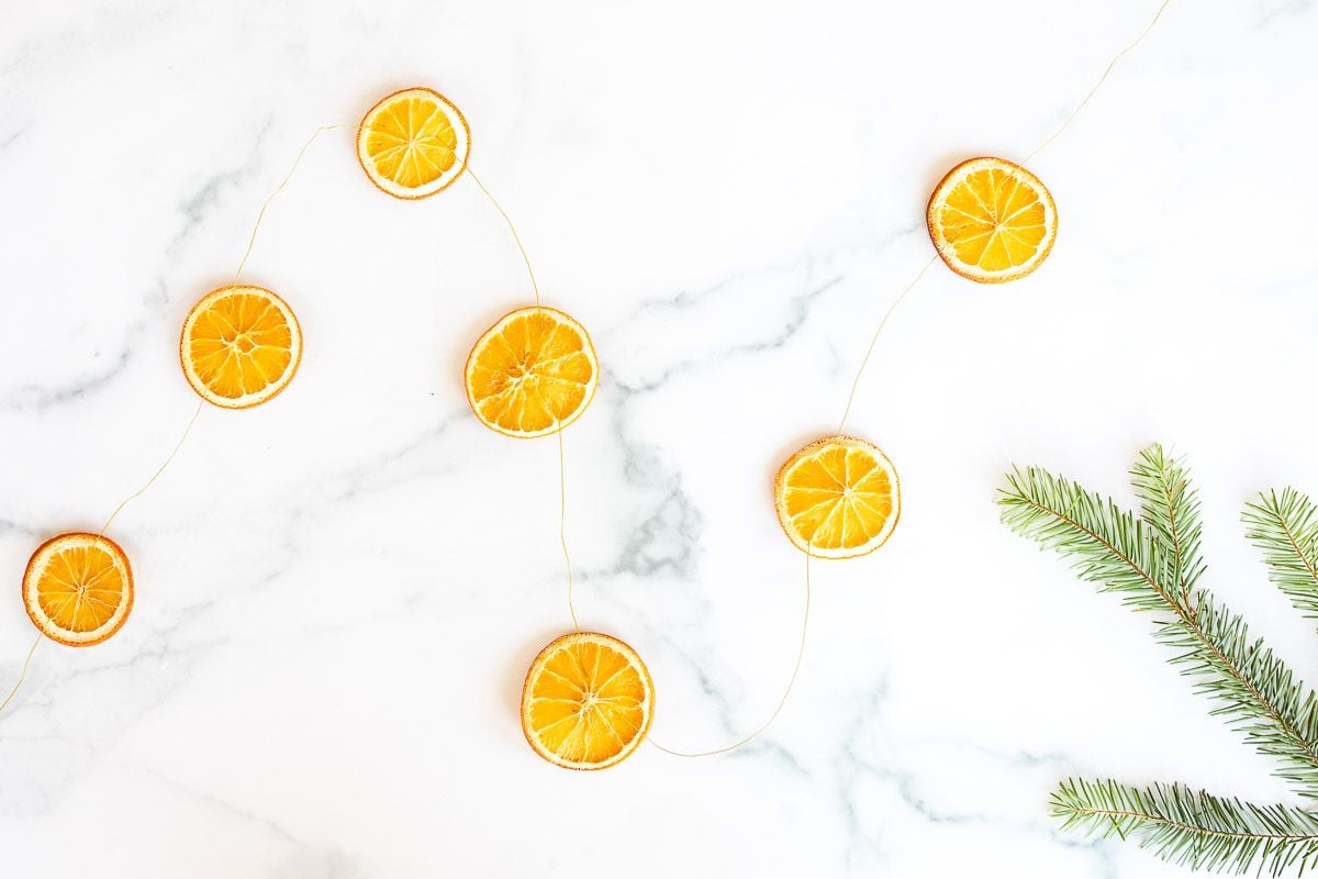 An orange garland laid out on a marble surface with a piece of evergreen to the side.