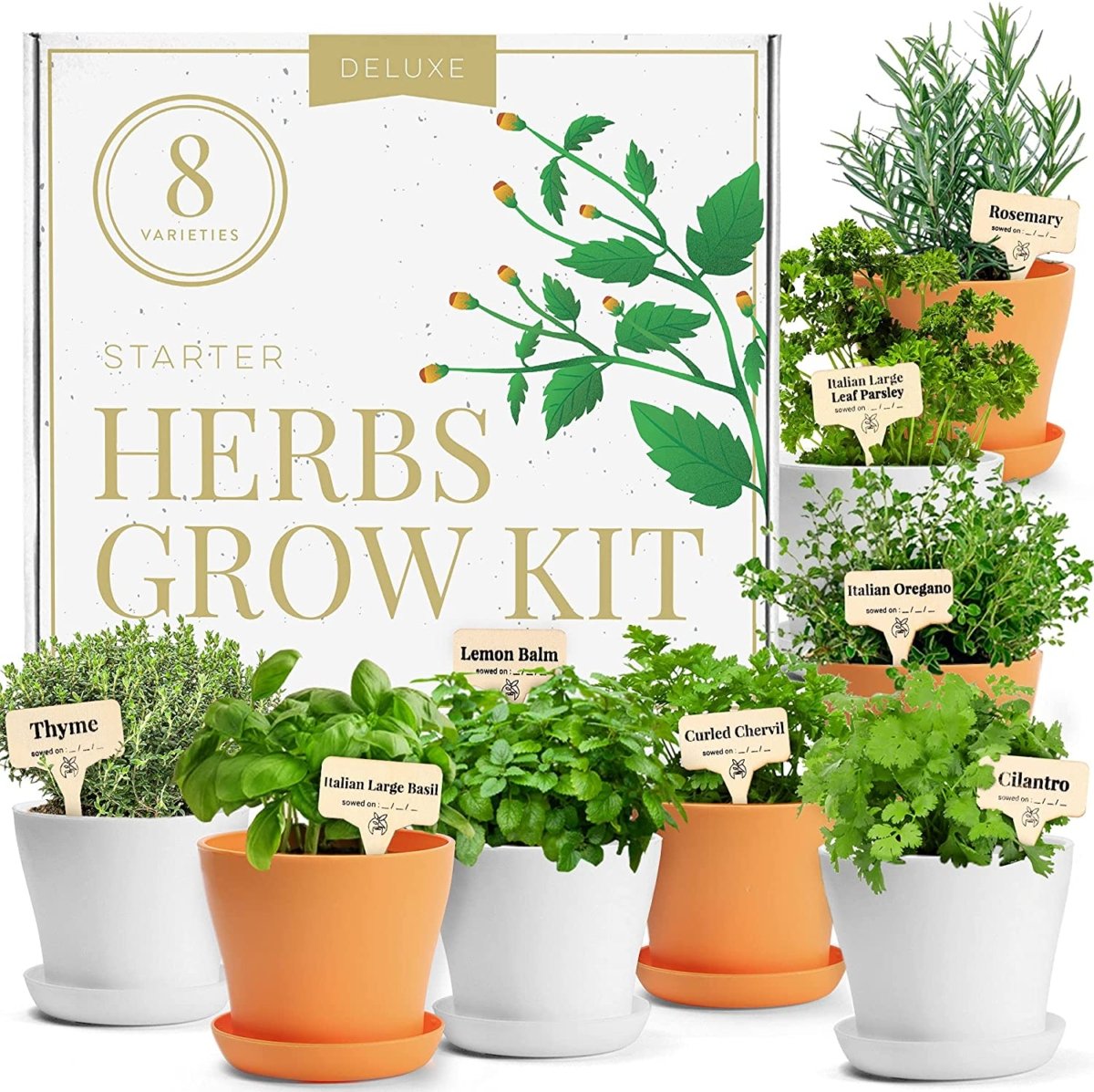 A simple kit can help you grow your own herbs.