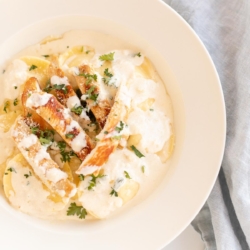 tortellini alfredo with grilled chicken on a white plate.