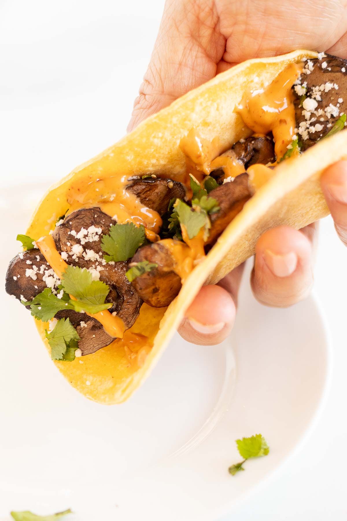 A hand holding a portobello taco in a corn tortilla over a white plate