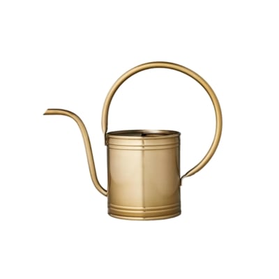 A brass watering can