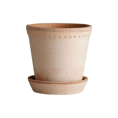 A scalloped Berg pot in a guide to garden gifts.