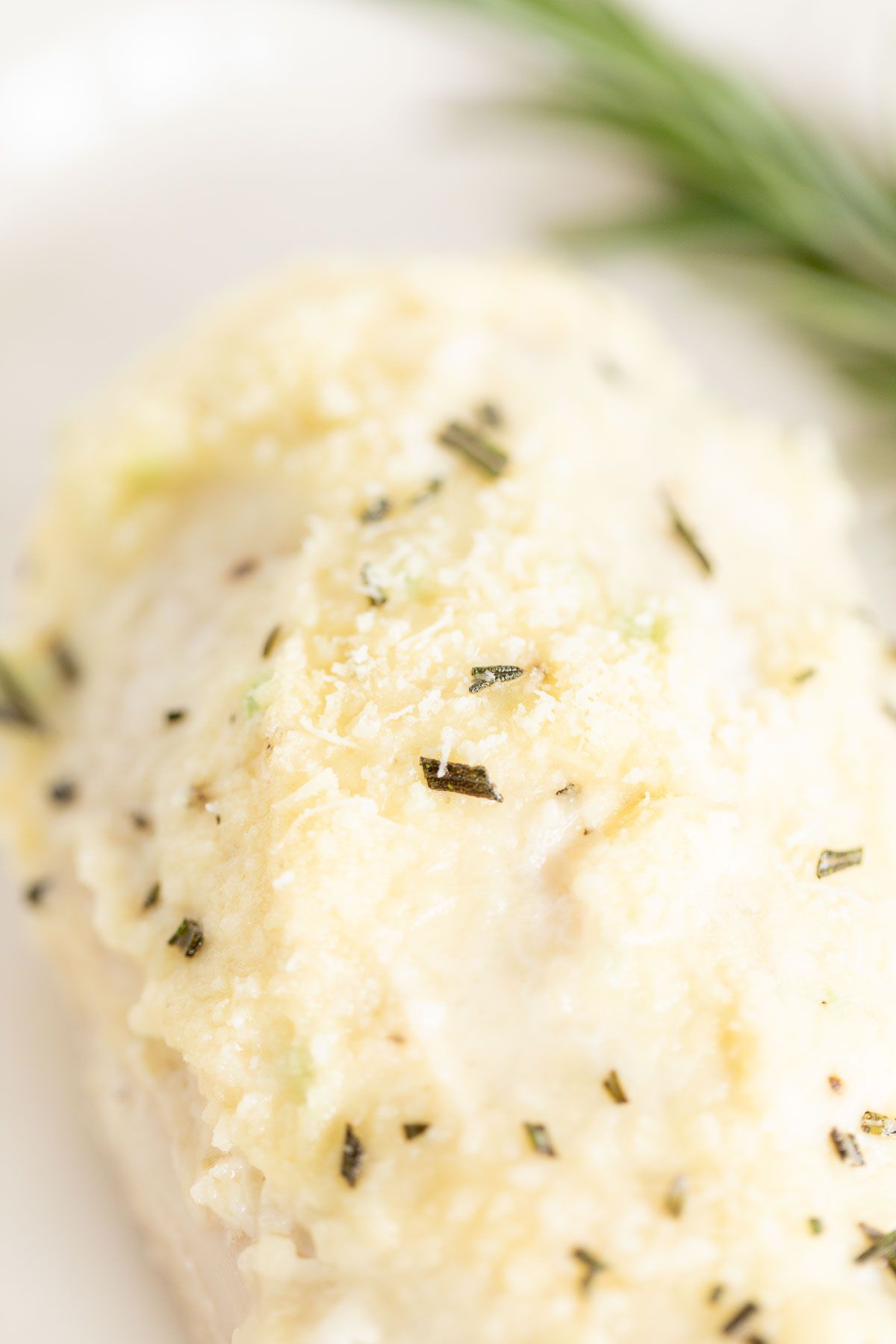 A baked mayo parmesan chicken breast on a white plate