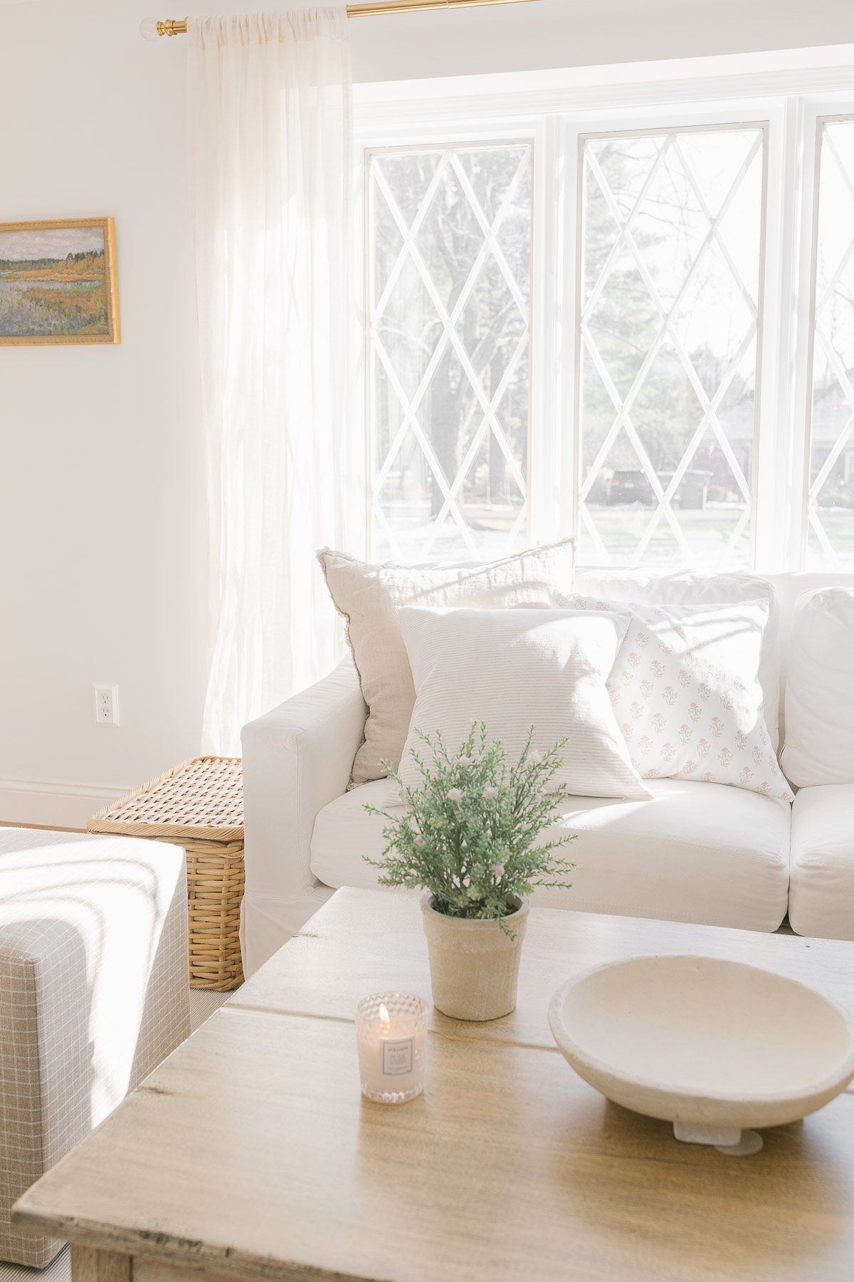 living room with plant and pillows on sofa