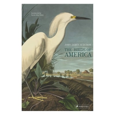 The cover of a decorative book, "The Birds of America"