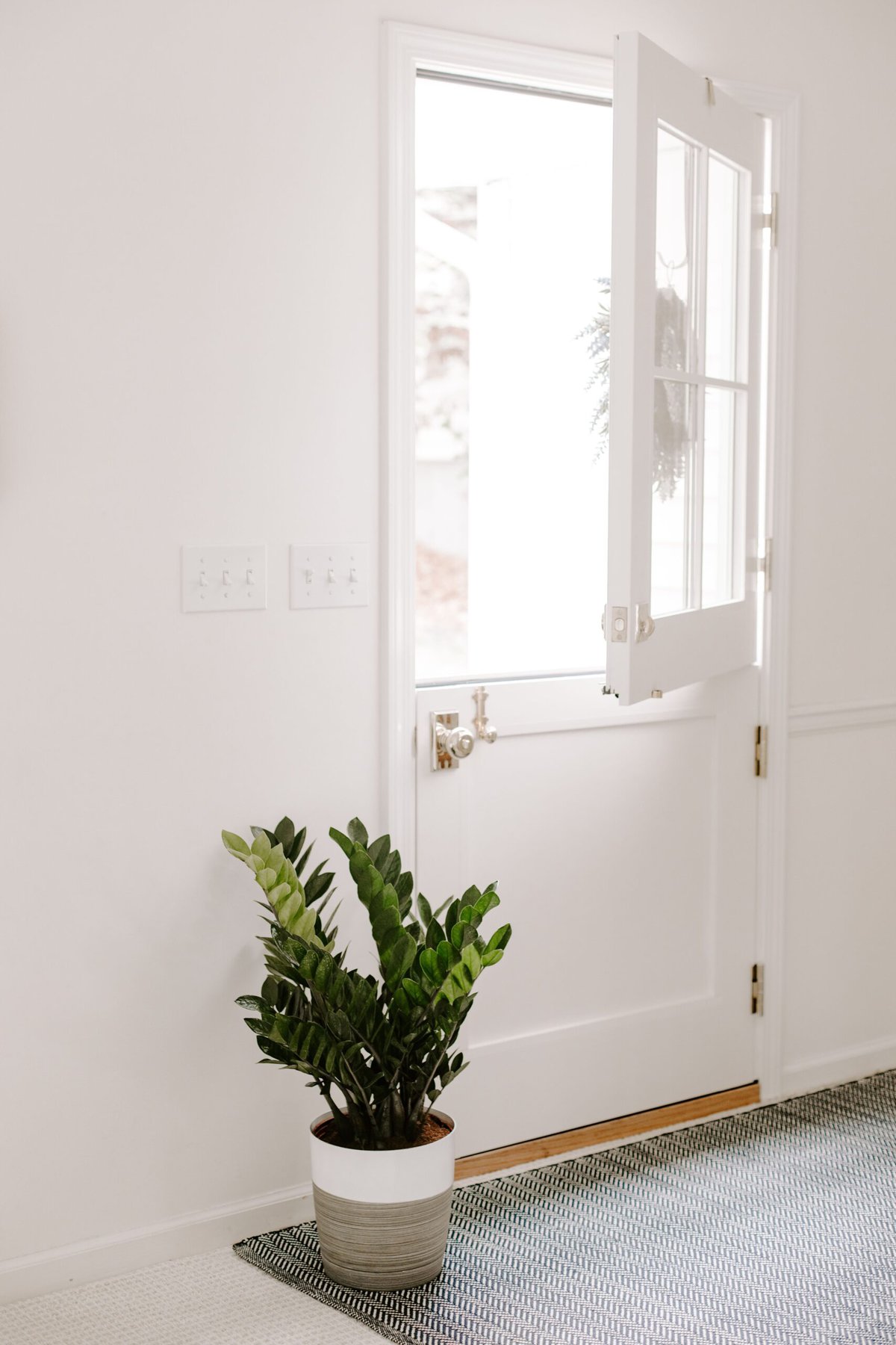 A zz plant on the floor by a dutch door